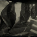 RDR2 Little Brown Bat