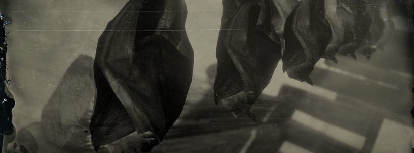 RDR2 Little Brown Bat