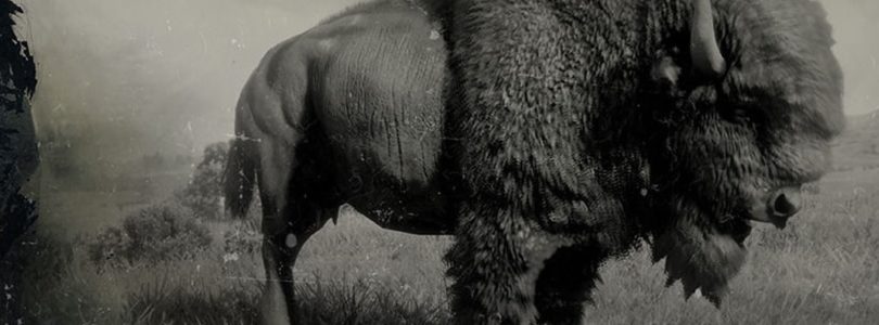 RDR2 American Bison