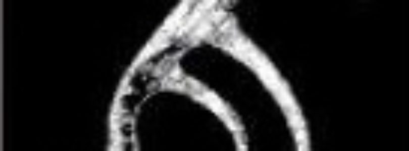 RDR2 Buck Antler Trinket