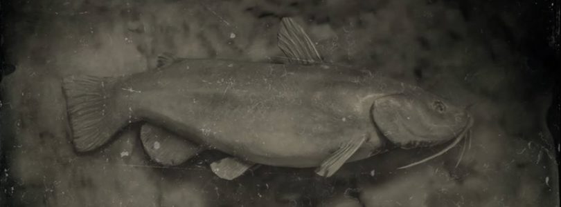RDR2 Bullhead Catfish