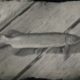 RDR2 Chain Pickerel