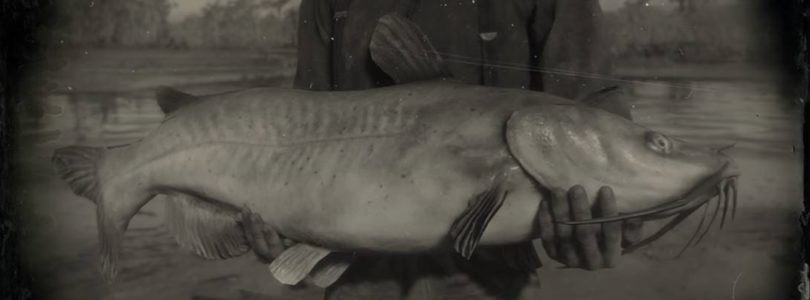 RDR2 Channel Catfish