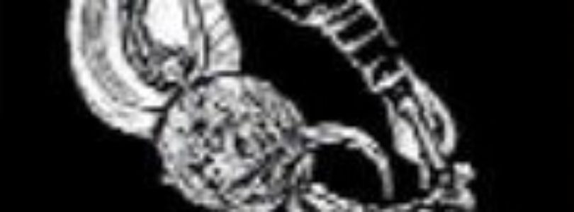 RDR2 Eagle Talon Talisman