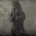 RDR2 North American Brown Bear