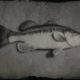 RDR2 Largemouth Bass