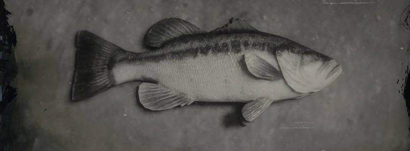 RDR2 Largemouth Bass