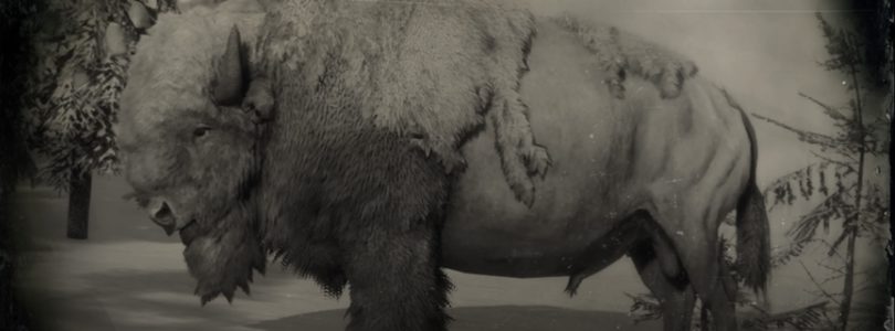 RDR2 Legendary Bison