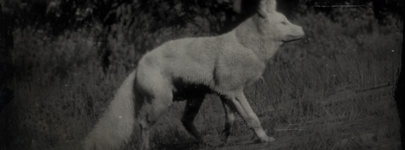 RDR2 Legendary Fox