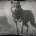 RDR2 Legendary Wolf