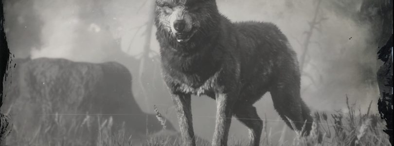 RDR2 Legendary Wolf