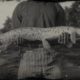 RDR2 Longnose Gar