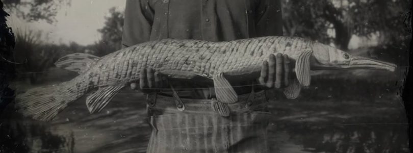 RDR2 Longnose Gar