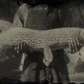 RDR2 Northern Pike