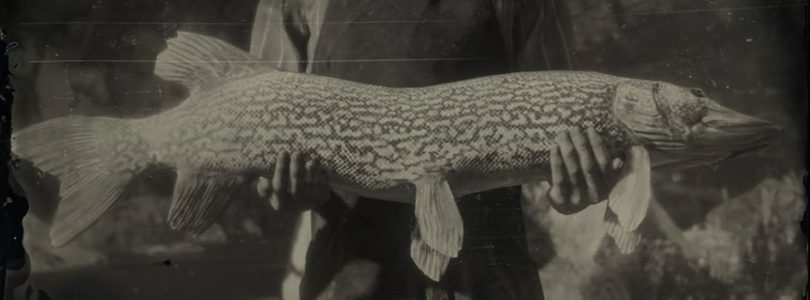 RDR2 Northern Pike