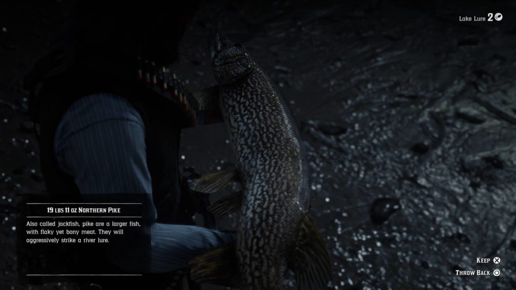Red Dead Redemption 2 Common Northern Pike