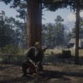 Red Dead Redemption 2 Paying a Social Call Wiki Guide 3