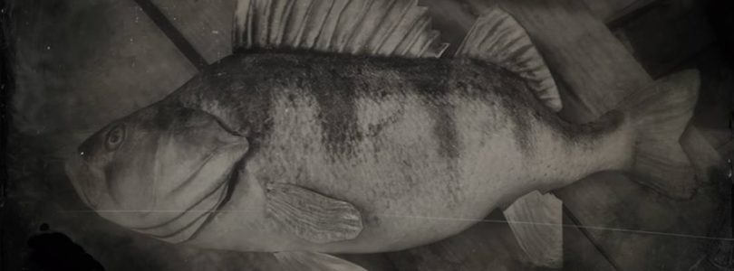 RDR2 Perch