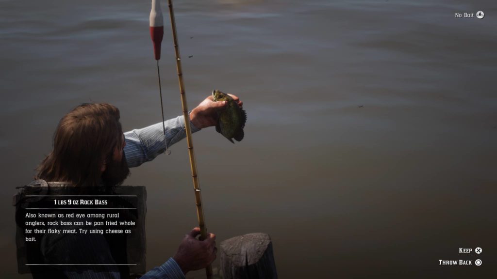 Red Dead Redemption 2 Common Rock Bass