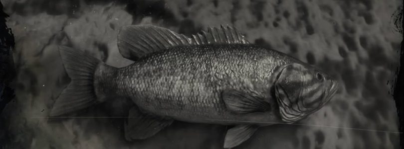 RDR2 Smallmouth Bass