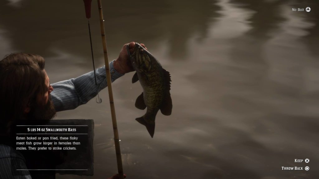 Red Dead Redemption 2 Common Smallmouth Bass