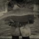 RDR2 Sockeye Salmon