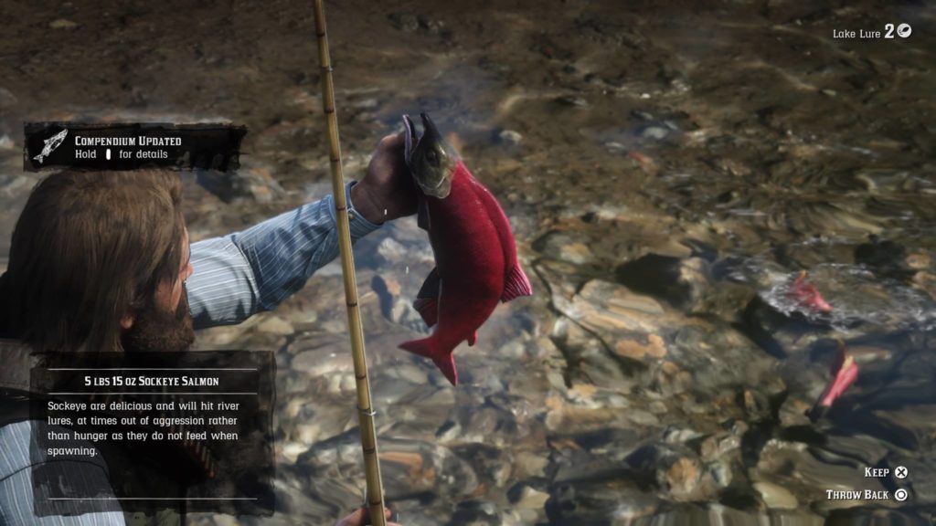 Red Dead Redemption 2 Common Sockeye Salmon